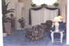 florida villa living room